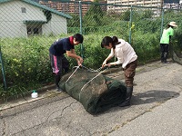 2016 riceharvest3.jpg(29392 byte)